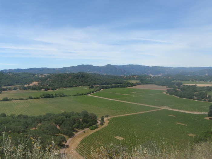 Looking west as I climbed Hopland Grade from the west