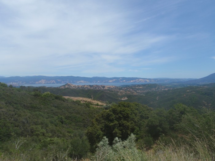 I took 114 pictures. Really, you should consider yourself lucky, that these are the only ones being shown.