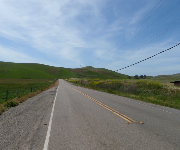 picture with grass and road