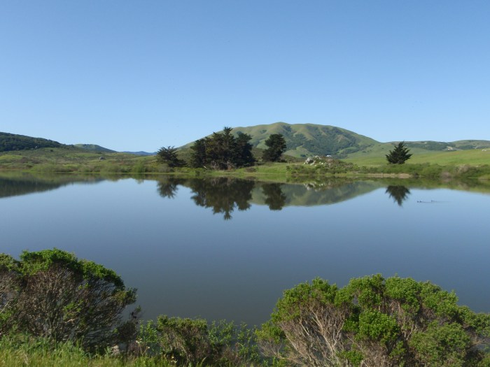 Nicasio Reservior