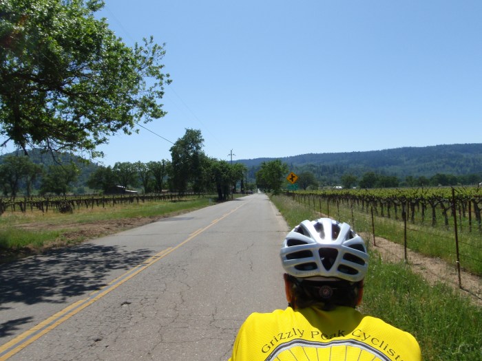 View from the stoker's seat